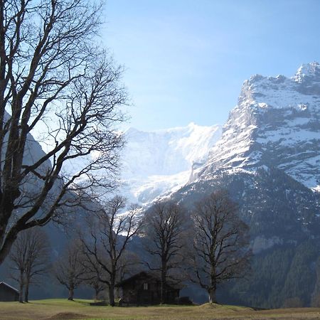 Superior Apartment 100M2 Bodmisonne - Grindelwald Extérieur photo