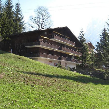 Superior Apartment 100M2 Bodmisonne - Grindelwald Extérieur photo